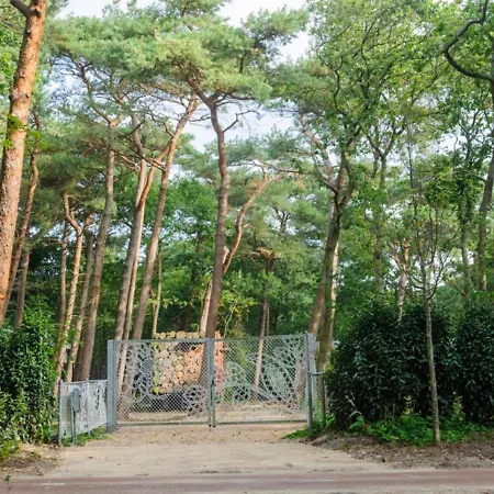 In The Forest Near The Beach *
