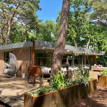 In The Forest Near The Beach Lodge Bergen