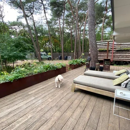 Lodge In The Forest Near The Beach