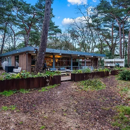 Lodge In The Forest Near The Beach