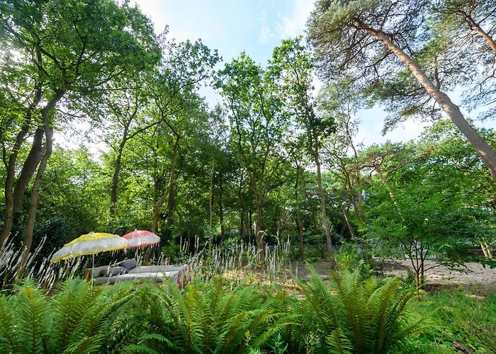 Lodge In The Forest Near The Beach Bergen