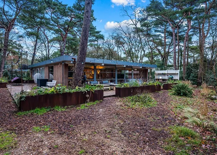 Lodge In The Forest Near The Beach