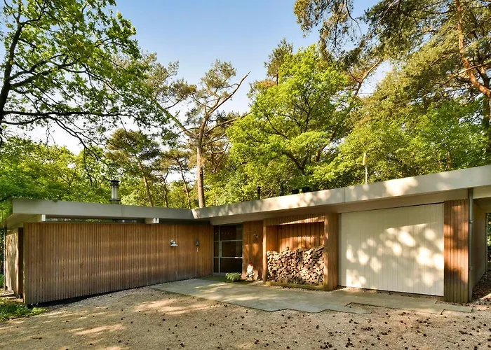 Lodge In The Forest Near The Beach