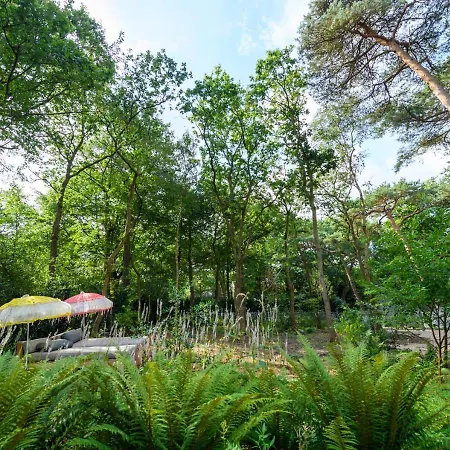 Lodge In The Forest Near The Beach Bergen