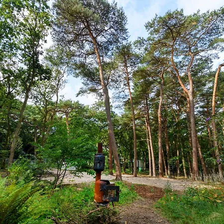 Lodge In The Forest Near The Beach