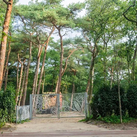 In The Forest Near The Beach *