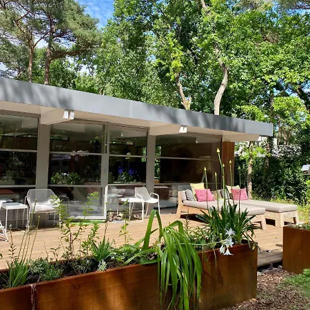 In The Forest Near The Beach Lodge Bergen