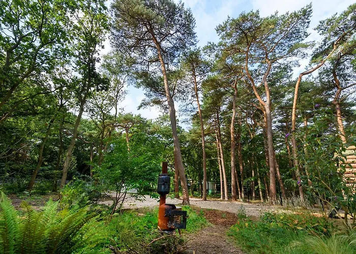 Lodge In The Forest Near The Beach