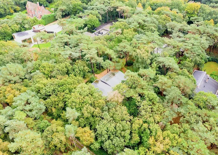 In The Forest Near The Beach Bergen