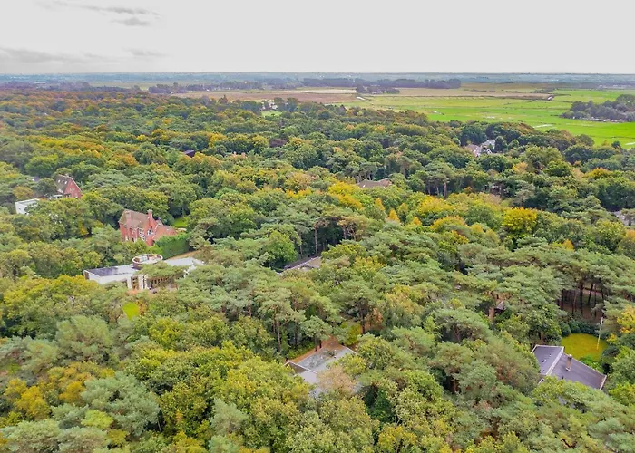 In The Forest Near The Beach *