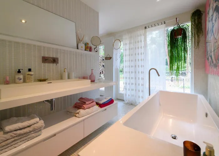 In The Forest Near The Beach